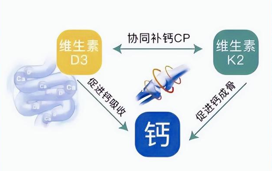 骨力之道，协同为钥：解码维生素英国D3+K2的“黄金组合”，香港保健品代工厂带来解说